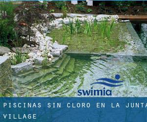 Piscinas sin cloro en La Junta Village