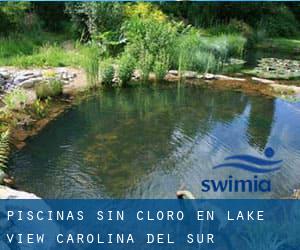 Piscinas sin cloro en Lake View (Carolina del Sur)