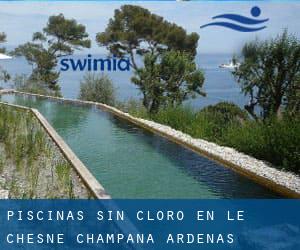 Piscinas sin cloro en Le Chesne (Champaña-Ardenas)