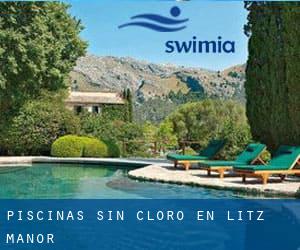 Piscinas sin cloro en Litz Manor