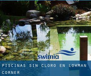 Piscinas sin cloro en Lowman Corner