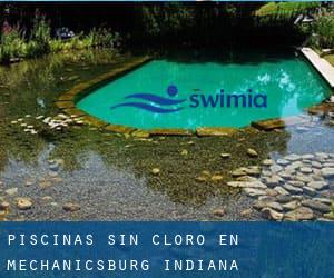 Piscinas sin cloro en Mechanicsburg (Indiana)