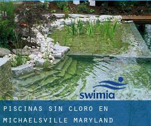 Piscinas sin cloro en Michaelsville (Maryland)