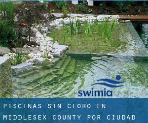 Piscinas sin cloro en Middlesex County por Ciudad - página 2