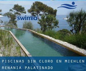 Piscinas sin cloro en Miehlen (Renania-Palatinado)