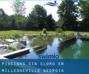 Piscinas sin cloro en Milledgeville (Georgia)