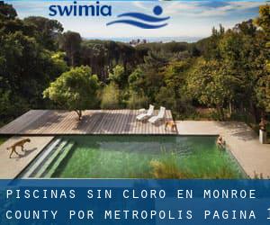 Piscinas sin cloro en Monroe County por Metropolis - página 1