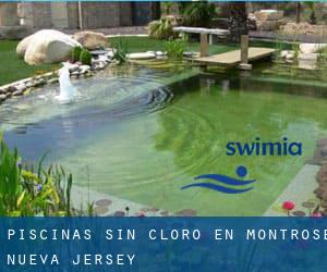 Piscinas sin cloro en Montrose (Nueva Jersey)