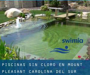 Piscinas sin cloro en Mount Pleasant (Carolina del Sur)