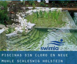 Piscinas sin cloro en Neue Mühle (Schleswig-Holstein)