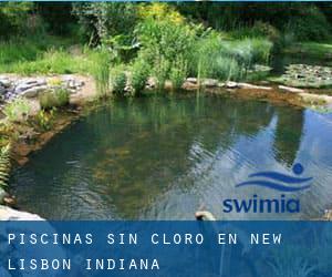 Piscinas sin cloro en New Lisbon (Indiana)