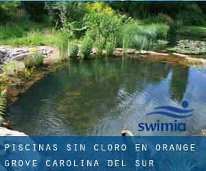 Piscinas sin cloro en Orange Grove (Carolina del Sur)