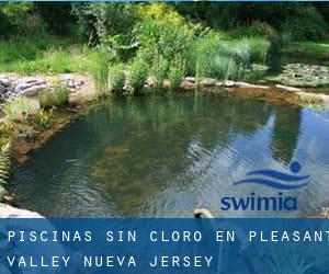 Piscinas sin cloro en Pleasant Valley (Nueva Jersey)