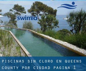 Piscinas sin cloro en Queens County por Ciudad - página 1