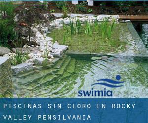 Piscinas sin cloro en Rocky Valley (Pensilvania)