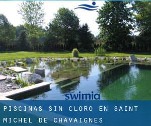 Piscinas sin cloro en Saint-Michel-de-Chavaignes