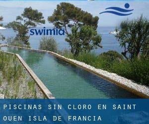 Piscinas sin cloro en Saint-Ouen (Isla de Francia)