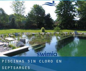 Piscinas sin cloro en Septsarges