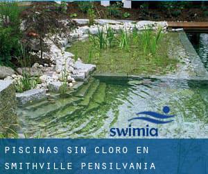 Piscinas sin cloro en Smithville (Pensilvania)