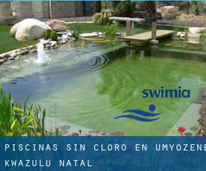 Piscinas sin cloro en Umyozene (KwaZulu-Natal)