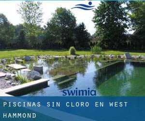 Piscinas sin cloro en West Hammond