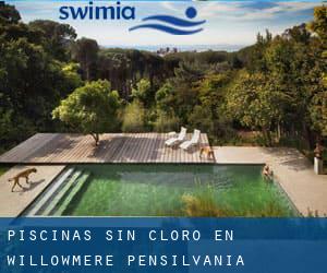 Piscinas sin cloro en Willowmere (Pensilvania)