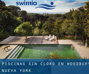 Piscinas sin cloro en Woodbury (Nueva York)