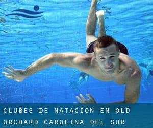 Clubes de natación en Old Orchard (Carolina del Sur)