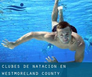 Clubes de natación en Westmoreland County