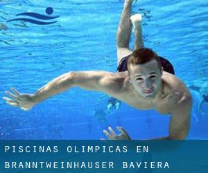 Piscinas olímpicas en Branntweinhäuser (Baviera)