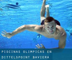 Piscinas olímpicas en Dittelspoint (Baviera)