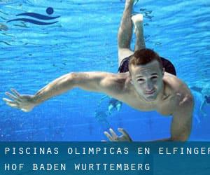 Piscinas olímpicas en Elfinger Hof (Baden-Württemberg)