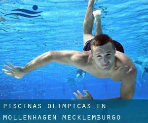 Piscinas olímpicas en Möllenhagen (Mecklemburgo-Pomerania Occidental)