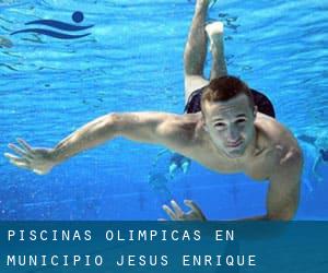 Piscinas olímpicas en Municipio Jesús Enrique Lossada