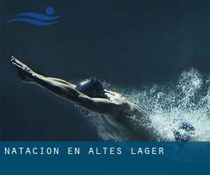 Natación en Altes Lager