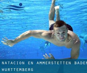 Natación en Ammerstetten (Baden-Württemberg)