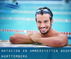 Natación en Ammerstetten (Baden-Württemberg)