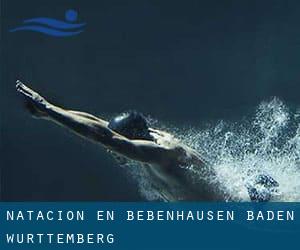 Natación en Bebenhausen (Baden-Württemberg)