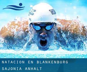 Natación en Blankenburg (Sajonia-Anhalt)