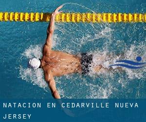 Natación en Cedarville (Nueva Jersey)