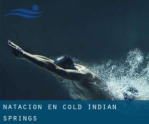 Natación en Cold Indian Springs