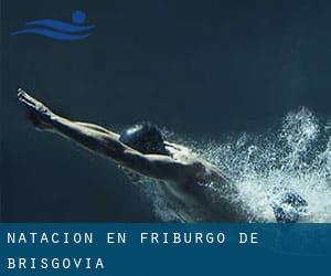 Natación en Friburgo de Brisgovia