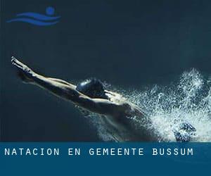 Natación en Gemeente Bussum