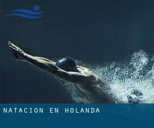 Natación en Holanda