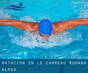 Natación en Le Carreau (Ródano-Alpes)