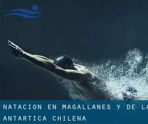 Natación en Magallanes y de la Antártica Chilena