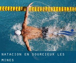 Natación en Sourcieux-les-Mines