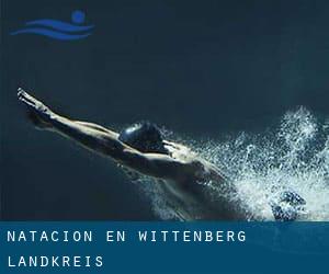 Natación en Wittenberg Landkreis