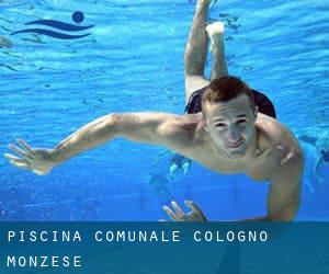 Piscina Comunale - Cologno Monzese