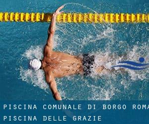 Piscina Comunale di Borgo Roma / Piscina «Delle Grazie»